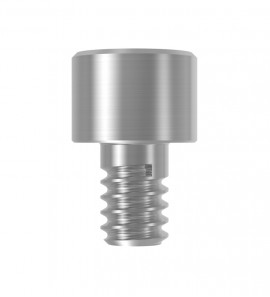 BV Occlusal screw  L 4mm